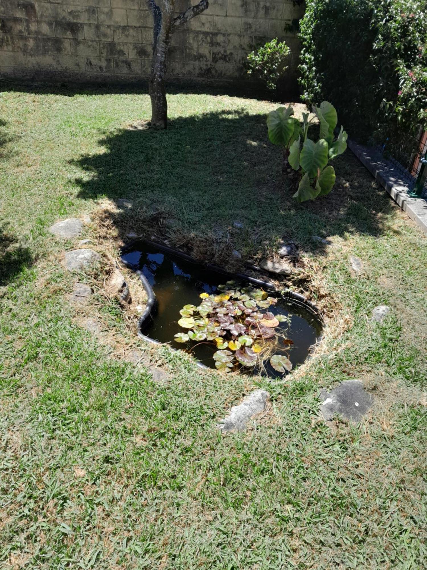 La Casa De Las Ranas Poio Esterno foto